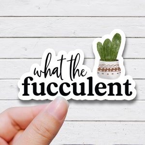plant sticker snarky gift what the fucculent sticker succulent sticker funny water bottle sticker laptop decal