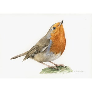 Robin - original watercolor painting, hand-painted on paper (A5)