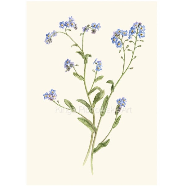 Art Print of Forget-me-not, Botanical Wall Art, Small Watercolor Flowers, Floral Fine Art Print, Blue Flower Art, Watercolor Flower Painting