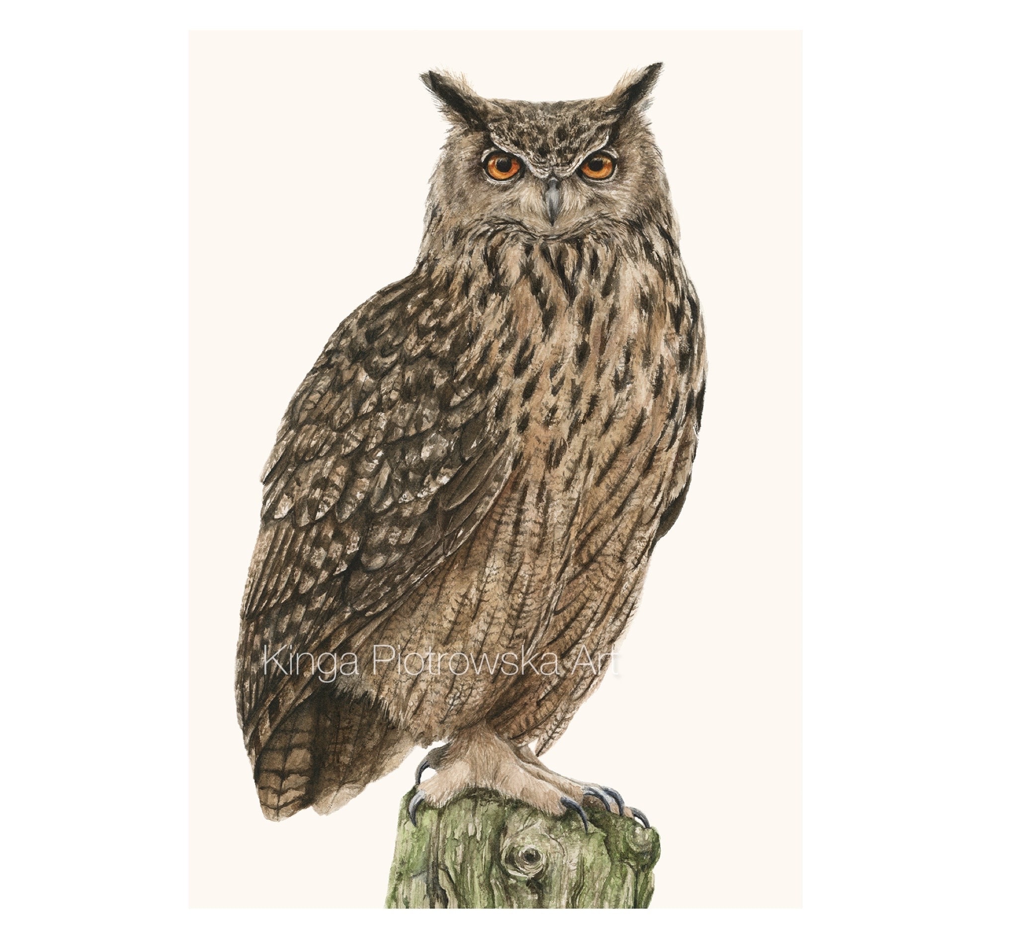 Eagle owl - fine art print of a watercolor painting, printed on cotton archival paper in various standard sizes