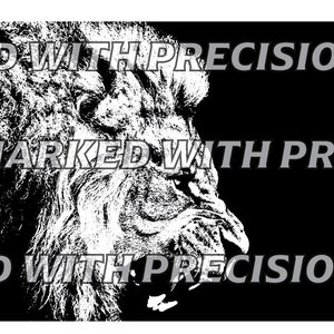 Lion and Buffalo Vector, Ai and SVG