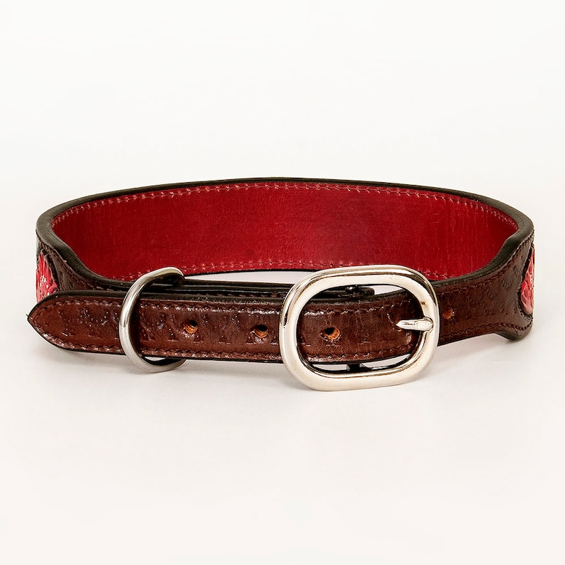 Genuine Leather Dog Collar Girl Dog Collar Hand Carved Etsy