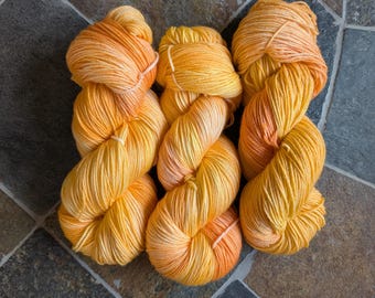Hand dyed yarn, Oh My Gourd!, small batch dye, seasonal colorway