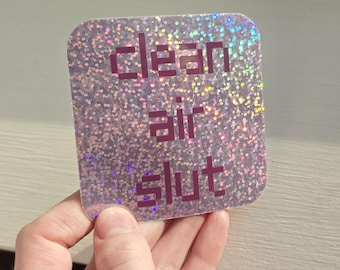 Clean air slut - public health - Fairycore Glitter Sticker - Pastel Vinyl