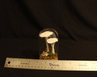 Bone Art in Glass Dome