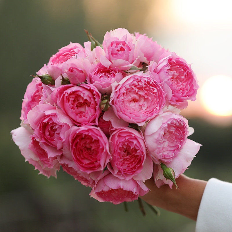 il_fullxfull.5641972888_c4by.jpg