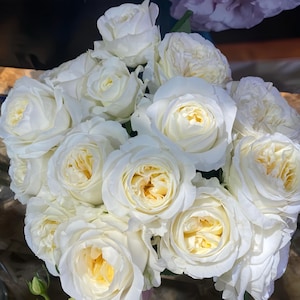 May include: A bouquet of white roses with creamy yellow centers. The roses are in full bloom, showcasing layers of delicate petals. The arrangement is dense, with many flowers clustered together, creating a lush and textured display.