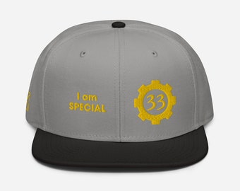 Speciale Vault 33 Snapback-hoed die Fallout-fans moeten hebben