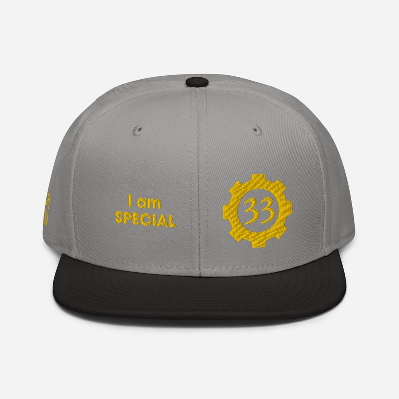 Special Vault 33 Snapback Hat Fallout Fans Must Have