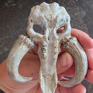 Mythosaur Skull 3D Resin Printed A Mandalorian-Inspired Masterpiece High-Quality Collectible for Sci-Fi Enthusiasts Star Wars afbeelding 4