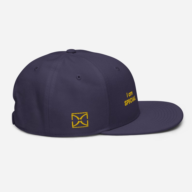 Special Vault 33 Snapback Hat Fallout Fans Must Have