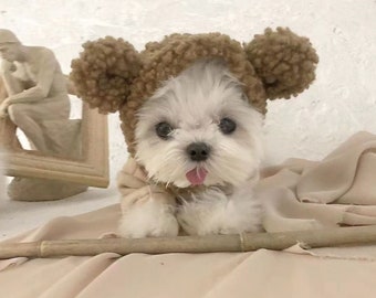 Fluffy Teddy Bear Ear Jacket Hoodie for Dogs