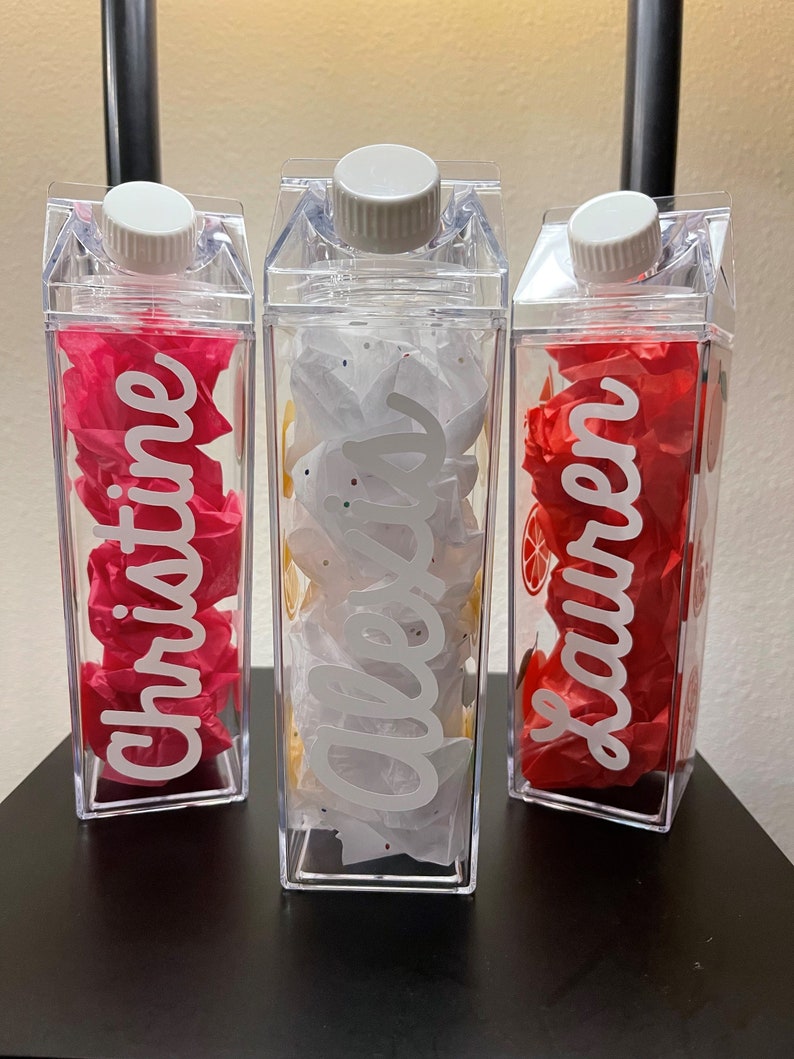 Lemon Milk Carton Water Bottle, Milk Jug Water Bottle, Cute Water