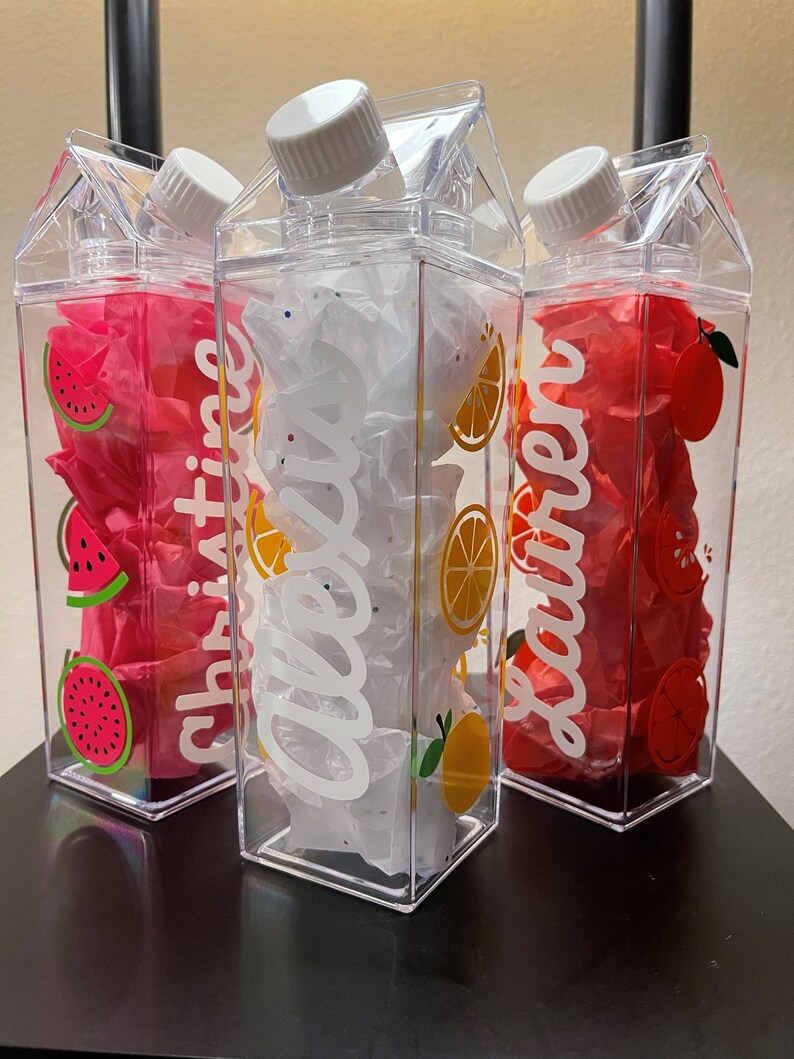 Lemon Milk Carton Water Bottle, Milk Jug Water Bottle, Cute Water