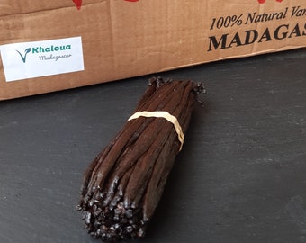 40 Vanille Bourbon Madagascar 10-12 centimeter