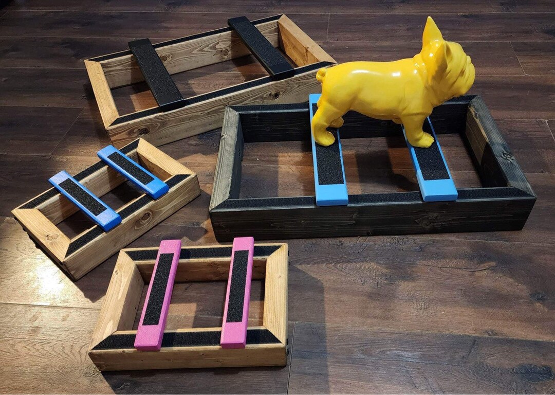 Dog Show American Bully Stacking Puppy Dog Show Stacking Box The