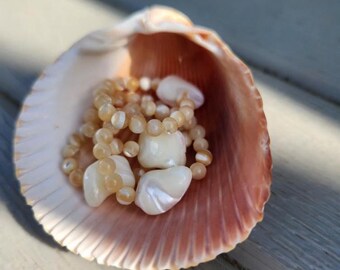 Pearl Shell Rings