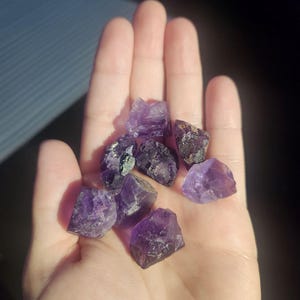 May include: A handful of raw amethyst crystals in varying shades of purple. The crystals have a rough, natural texture and are illuminated by sunlight. The crystals are a deep violet color.