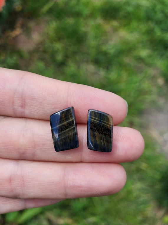 Hawk Eye Tiger's Eye Earrings
