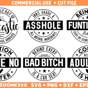 120 Funny SVG Bundle, Sarcastic SVG bundle, Sarcasm SVG, Sassy Svg, quotes shirts Png, Funny Mom Gift, Funny Dad Png, Silhouette, Cricut Svg image 4