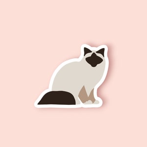 fait main de chat en ragdoll Chocolate Point | Sticker chat Ragdoll | Chat et animaux | Vinyle et décalcomanie pour chat