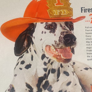 Reklama karmy dla psów Friskies z 1962 r. Dalmatyńczyk w wozie strażackim
