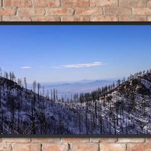Mt. Lemmon | Mountain Side | Tucson, Arizona | Landscape Photographic Print | Fine Art Photography | Wall Art Decoration