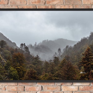Der neblige Wald | Pfeiffer Big Sur State Park | Kalifornien | Landschaft Fotografie Druck | Fotografie | Wanddekoration