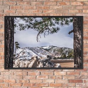 Nature&#39;s Framing | Mt. Lemmon | Tucson, Arizona |  Landscape Photographic Print | Fine Art Photography | Wall Art Decoration