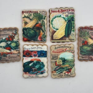 May include: A collection of six vintage seed packet images. Each packet features colorful illustrations of various vegetables, including corn, cabbage, and tomatoes. The packets have scalloped edges and include text such as "John A. Bruce & Co. Seeds" and "Cole's Seed Store."
