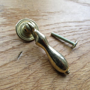 Può includere: Una maniglia dorata per armadietto con una piastra posteriore rotonda e una maniglia a forma di goccia. Una vite corrispondente è accanto alla maniglia. L'hardware è su una superficie di legno.