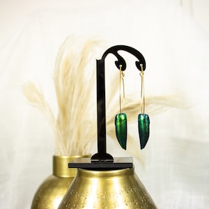 Oval hoops women&#39;s earrings with beetle wing