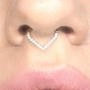 Titan V Förmiger Septum Ring Triangle Septum Nasenring Nasenpiercing /Daith Ring/Helix Ohrringe/Tragus Ohrringe/Knorpel Piercing/