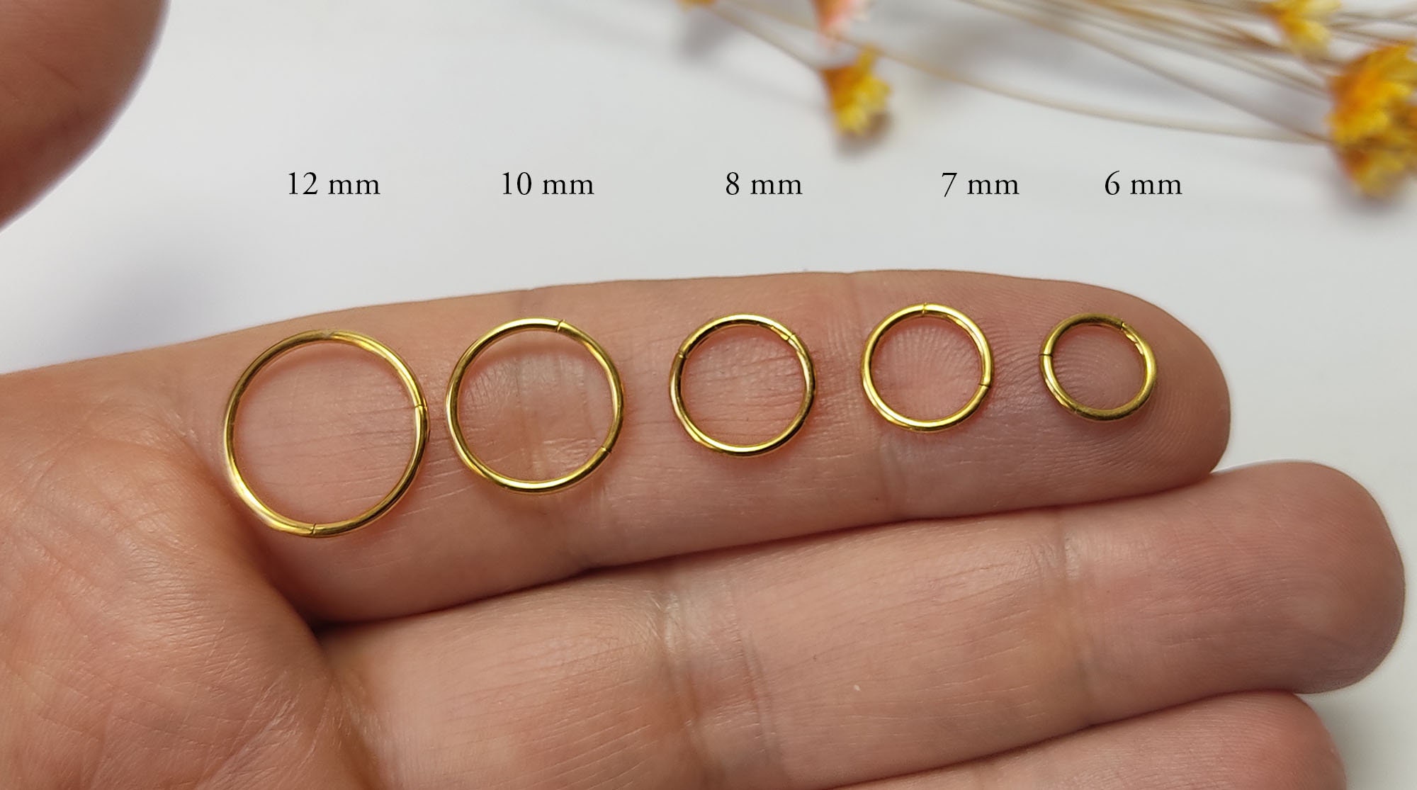 0.8 Mm/ 1 Mm/1.2 Mm/1.6 Mm Nose Piercing Segment Ring Septum 