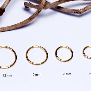 0,8 mm/ 1mm/1,2mm/1,6 mm Nasenpiercing Segmentring Septum Nase Ring Brust Lippen Scharnier Clicker vergoldet auf Chirurgenstahl Bild 3