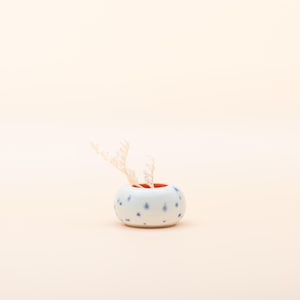 May include: A small, round ceramic container with a white and blue spotted pattern. The interior is red, and it holds a decorative, off-white, antler-like object. The container is a decorative item.