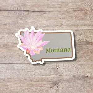 Montana State Flower Vinyl Sticker | Bitterroot Flower | Glossy or Matte Finish | State Flower | States | Laptop Sticker
