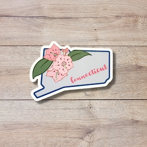 Connecticut State Flower Vinyl Sticker | Mountain Laurel | Glossy or Matte Finish | State Flower Sticker | Laptop Sticker | States