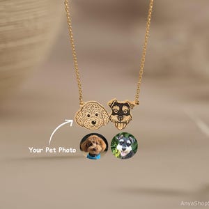 Gepersonaliseerde huisdierportretketting, huisdier herdenkingssieraden, huisdiernaamketting, gegraveerde ketting, hond- en katketting, damesketting, cadeau voor haar