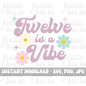 Retro twelfth Birthday Shirt PNG SVG Sublimation, twelve is a vibe png svg, Groovy Birthday shirt, 12th Birthday png svg digital download