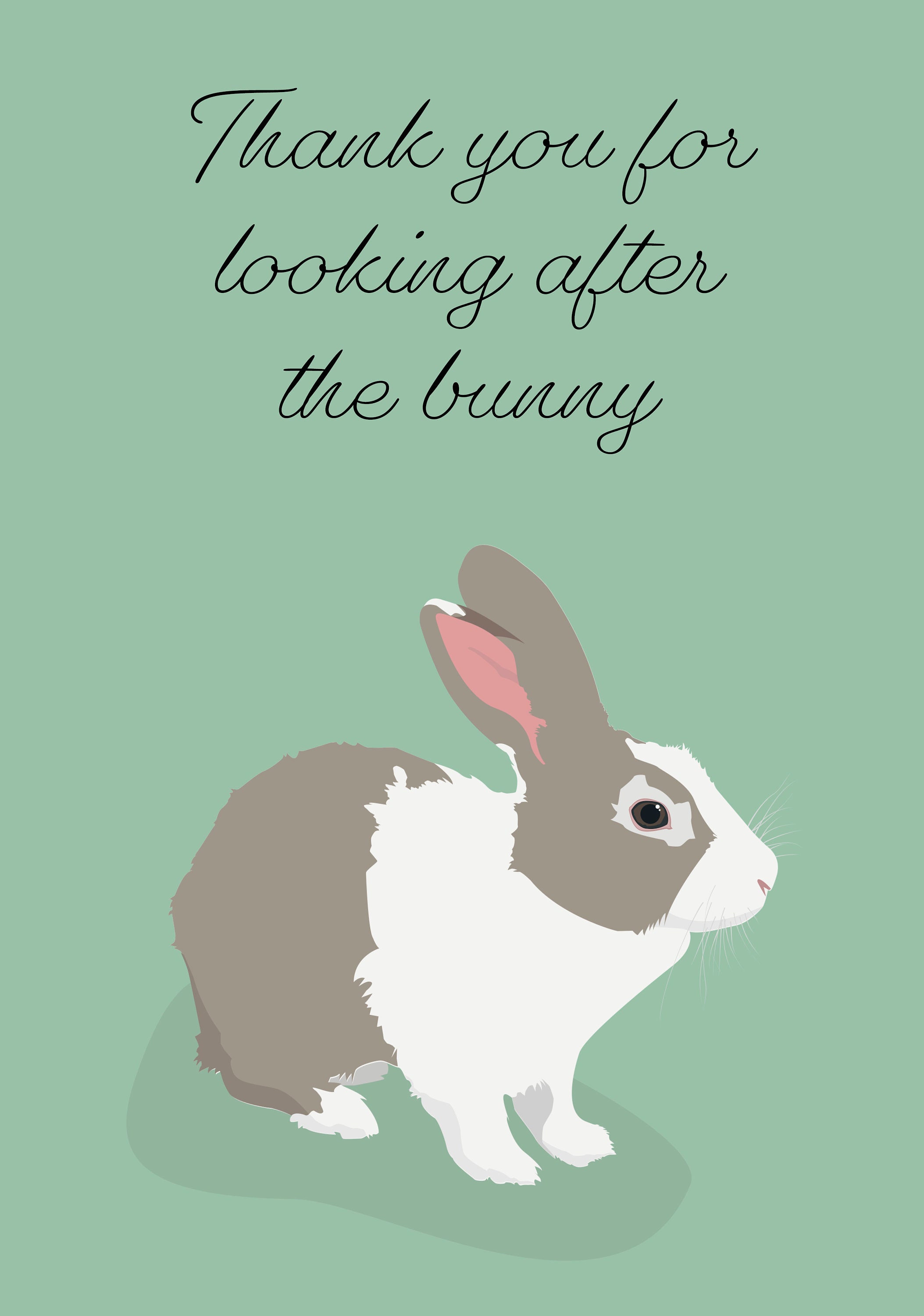 Looking after hotsell a bunny