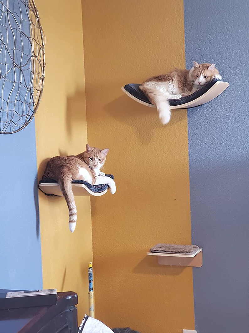 Cat Shelf With Comfortable Cat Cushion Curved Cat Shelves and Etsy