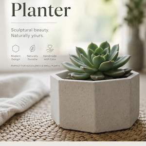 Large Modern Octagon Concrete Indoor Planter – 6” Smooth Natural Plant Pot for Succulents, Cacti & Houseplants