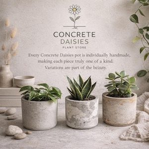 Smooth Natural Concrete Planter – Modern Minimalist Style Concrete Planter 5 inch pot