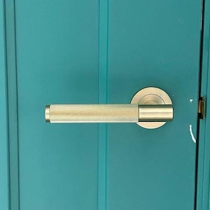 May include: A close-up of a teal door with a textured, gold-colored door handle. The door has vertical paneling. The handle is cylindrical with a textured surface and a circular backplate.