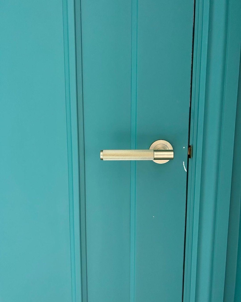 May include: A close-up of a teal door with a textured, gold-colored door handle. The door has vertical paneling. The handle is cylindrical with a textured surface and a circular backplate.