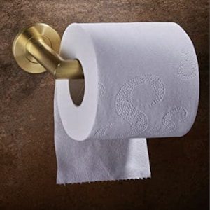 high end Grade 316 Stainless Steel toilet roll holder, The mitered round bar is secured onto a concealed fix rose. toilet paper holder