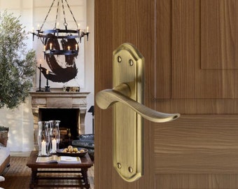 Stunning Brass Door Handle on Back plate