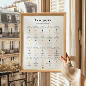 Variedades de Uva y sus Aromas Dominantes | Idea decorativa para amantes del vino - 30x40 cm