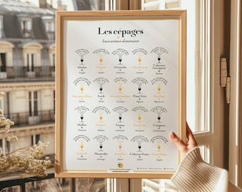 Les Cépages et leurs Arômes Dominants | Idée déco pour amateur de vin- 30x40 cm